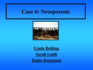 Case 6: Neosporosis