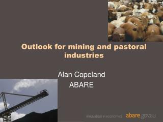 Outlook for mining and pastoral industries