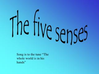 The five senses