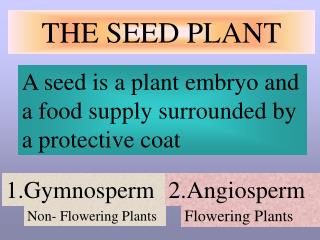 THE SEED PLANT