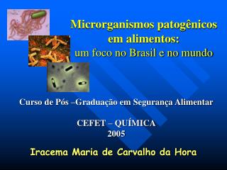 Microrganismos patogênicos em alimentos: um foco no Brasil e no mundo