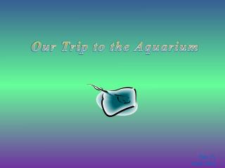 Our Trip to the Aquarium