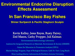 Environmental Endocrine Disruption Effects Assessment In San Francisco Bay Fishes