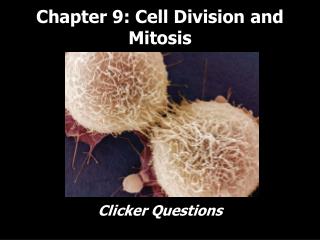 Chapter 9: Cell Division and Mitosis