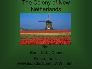 The Colony of New Netherlands