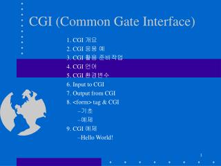 CGI (Common Gate Interface)