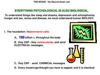 THE BRAIN: the Neuron/brain cell EVERYTHING PSYCHOLOGICAL IS ALSO BIOLOGICAL.