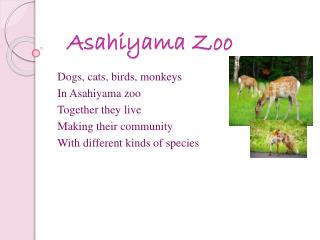 Asahiyama Zoo