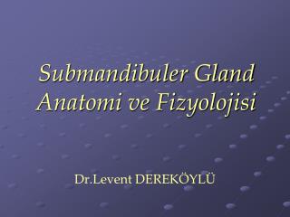 Submandibuler Gland Anatomi ve Fizyolojisi