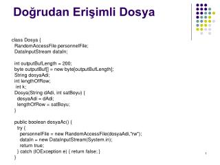 Doğrudan Erişimli Dosya