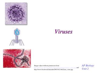 Viruses