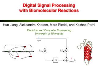 Digital Signal Processing with Biomolecular Reactions