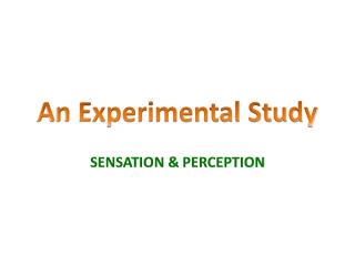 An Experimental Study