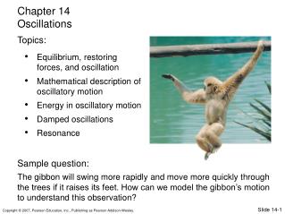Equilibrium, restoring forces, and oscillation Mathematical description of oscillatory motion