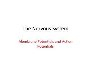 The Nervous System