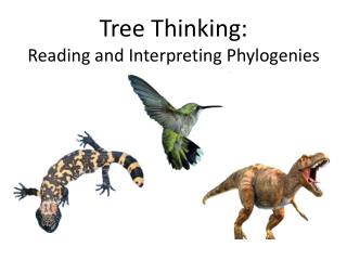 Tree Thinking: Reading and Interpreting Phylogenies