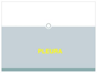 PLEURA