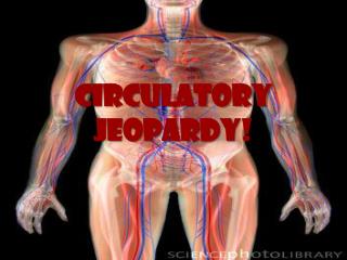 Circulatory Jeopardy !