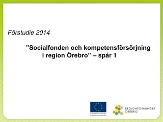 Förstudie 2014 ”Socialfonden och kompetensförsörjning i region Örebro” – spår 1