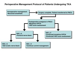 Perioperative Management Protocol of Patients Undergoing TKA