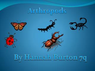 Arthropods
