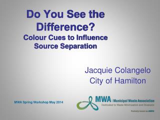Do You See the Difference? Colour Cues to Influence Source Separation