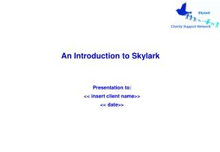 An Introduction to Skylark