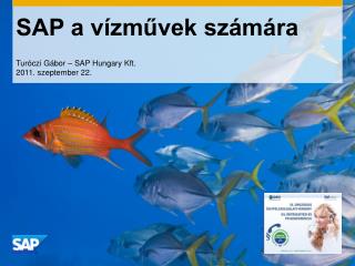 SAP a vízművek számára