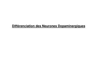 Différenciation des Neurones Dopaminergiques