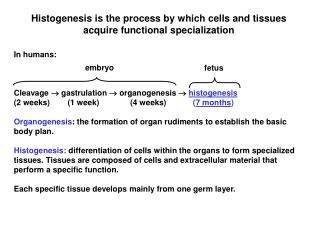 Histogenesis is the process by which cells and tissues acquire functional specialization