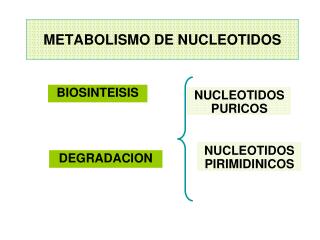 METABOLISMO DE NUCLEOTIDOS