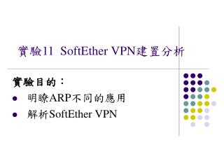 實驗 11 SoftEther VPN 建置分析