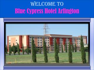 Blue cypress hotel Arlington