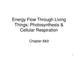 Energy Flow Through Living Things: Photosynthesis &amp; Cellular Respiration
