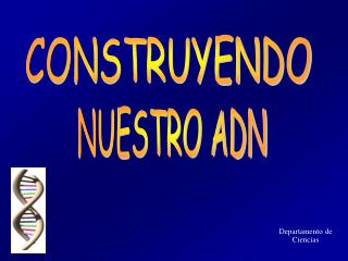 CONSTRUYENDO