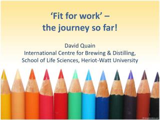 ‘Fit for work’ – the journey so far!