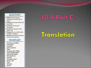 10.4 Part C: Translation