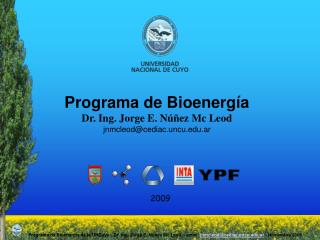 Programa de Bioenergía Dr. Ing. Jorge E. Núñez Mc Leod jnmcleod@cediac.uncu.ar