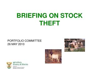 BRIEFING ON STOCK THEFT