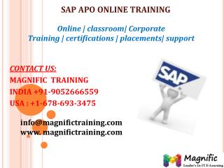 sap apo online training