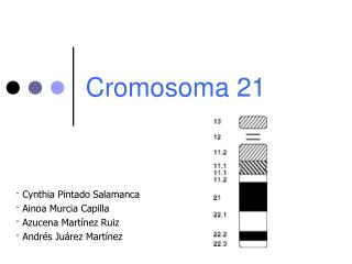 Cromosoma 21