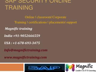 sap security online training