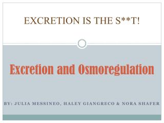 Excretion and Osmoregulation
