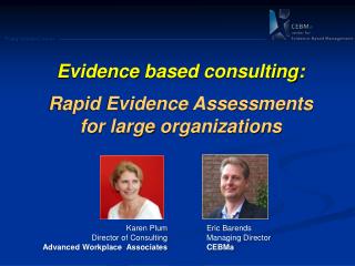 Evidence based consulting: Rapid Evidence Assessments for large organizations