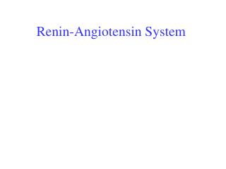 Renin-Angiotensin System