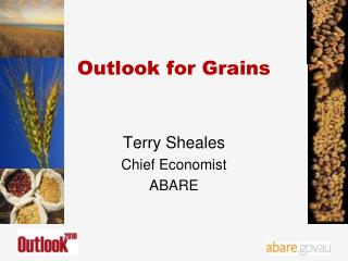 Outlook for Grains