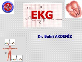 EKG