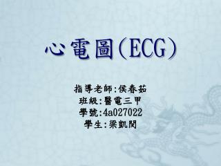 心電圖 (ECG)