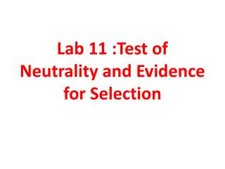 Lab 11 :Test of Neutrality and Evidence for Selection
