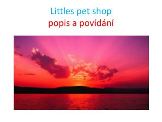Littles pet shop popis a povídání